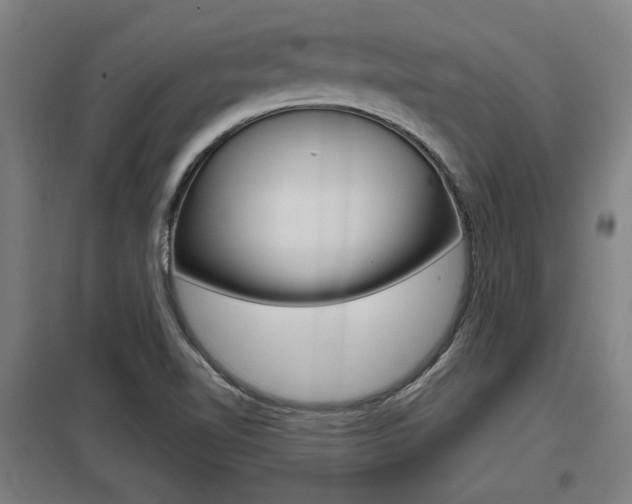 X0000098031510200803280718
