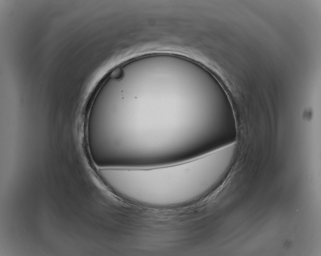 X0000098031511200803280718