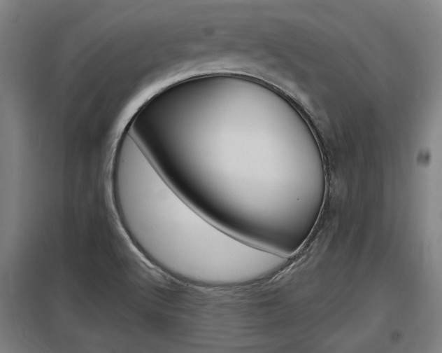 X0000098031512200803280718
