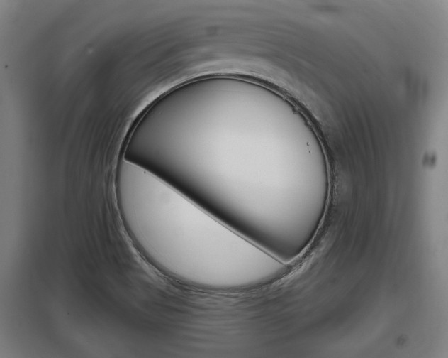 X0000098031513200803280718