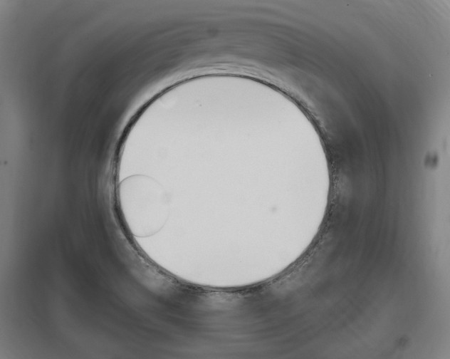 X0000098031514200803280718