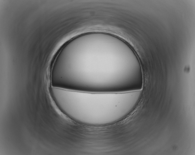 X0000098031515200803280718