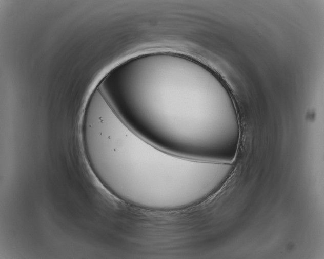 X0000098031516200803280718