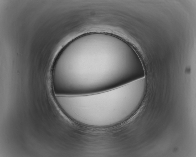 X0000098031517200803280718