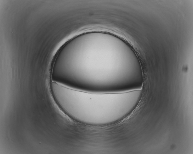 X0000098031518200803280718