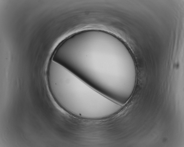 X0000098031519200803280718