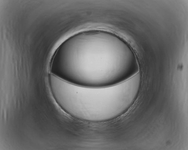 X0000098031520200803280719