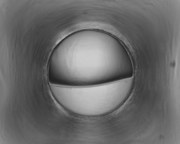 X0000098031521200803280719