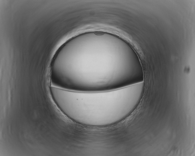 X0000098031522200803280719