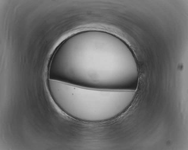 X0000098031523200803280719