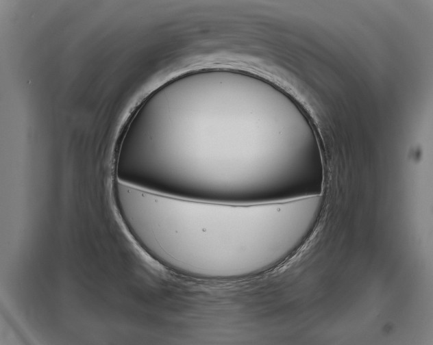 X0000098031525200803280719
