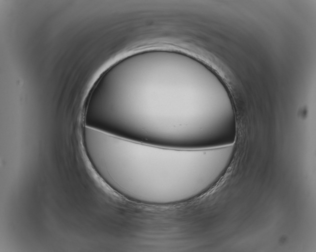 X0000098031526200803280719