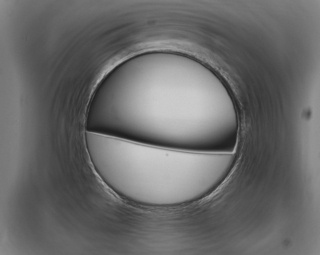 X0000098031529200803280719