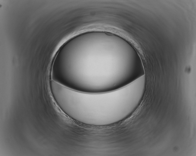 X0000098031530200803280719