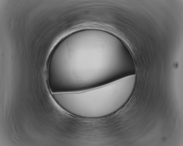 X0000098031531200803280719