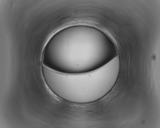 X0000098031532200803280719