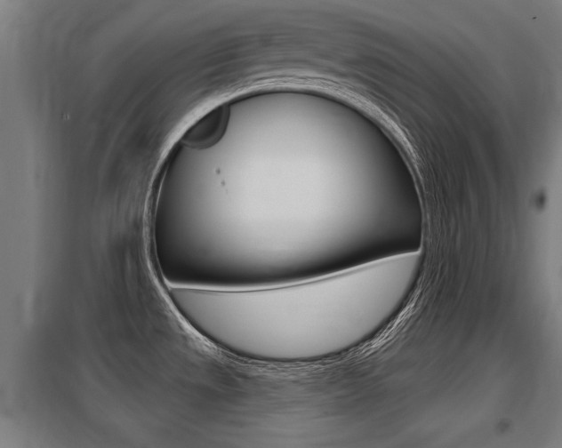 X0000098031533200803280719