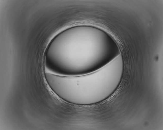 X0000098031534200803280719