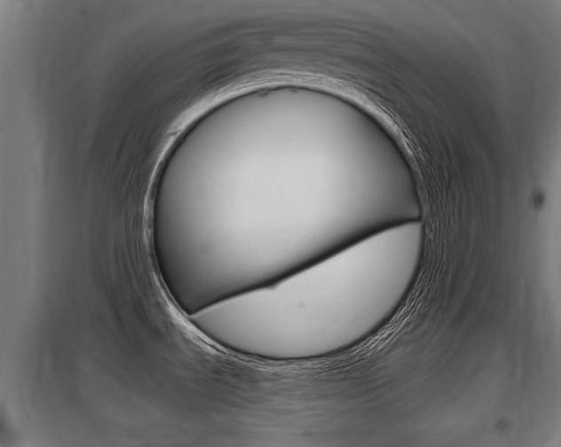 X0000098031535200803280719
