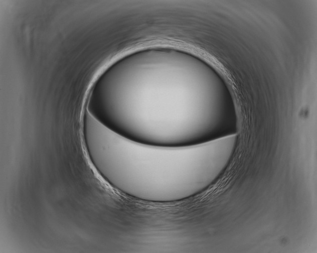 X0000098031536200803280719