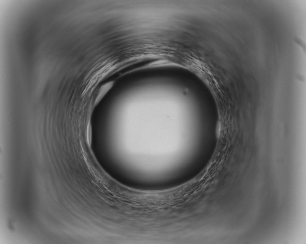 X0000098030001200803281419