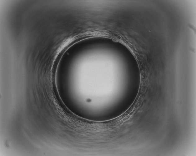 X0000098030008200803281419