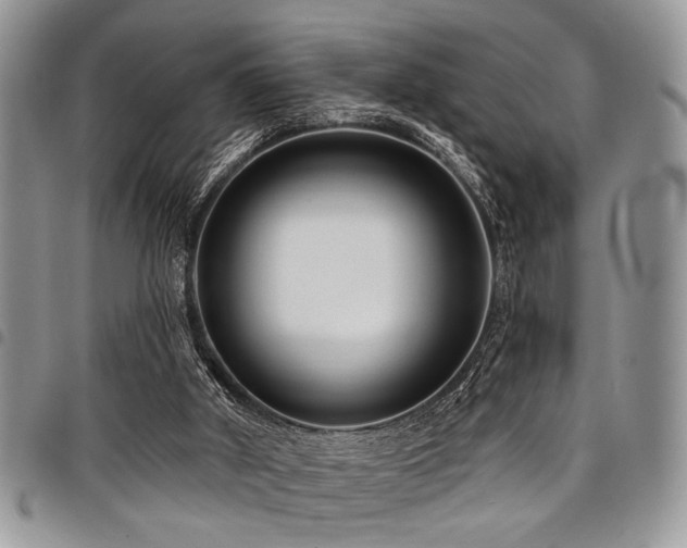 X0000098030010200803281419