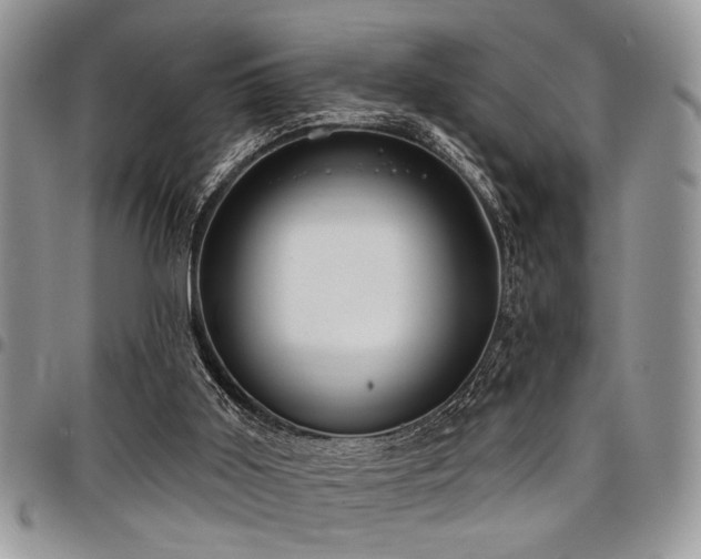 X0000098030011200803281419