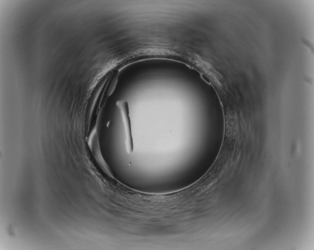 X0000098030015200803281419