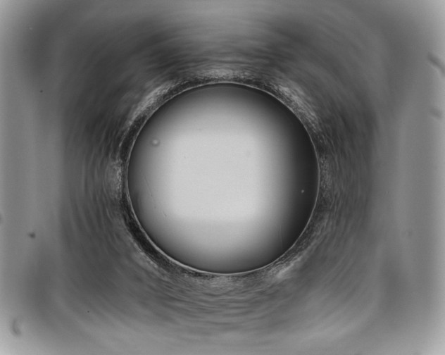 X0000098030016200803281419