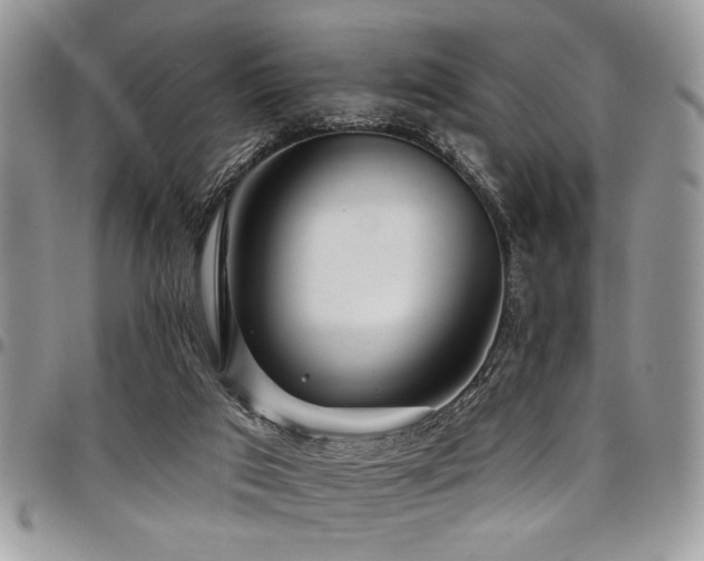 X0000098030017200803281419