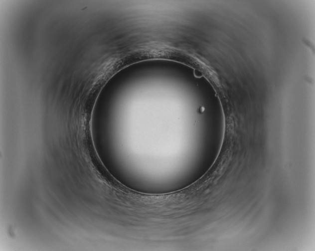 X0000098030018200803281419