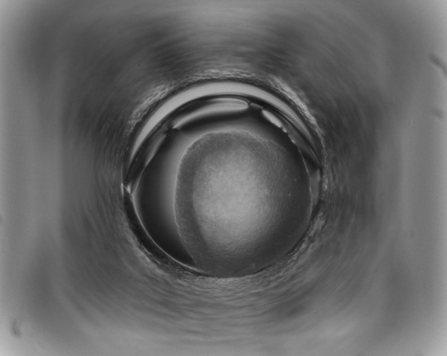 X0000098030019200803281419