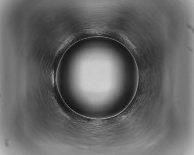 X0000098030020200803281419