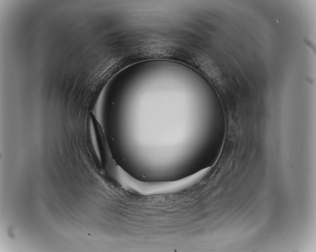 X0000098030021200803281419