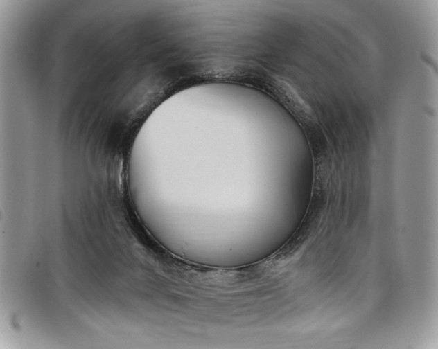 X0000098030024200803281419