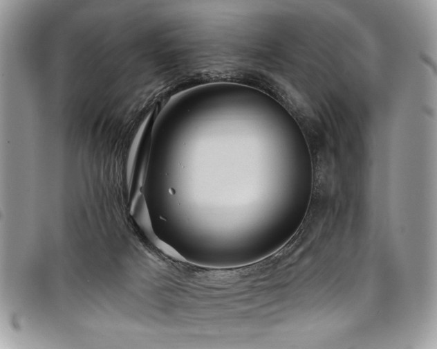 X0000098030025200803281419