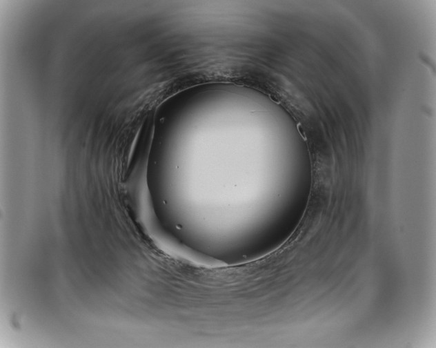 X0000098030029200803281419