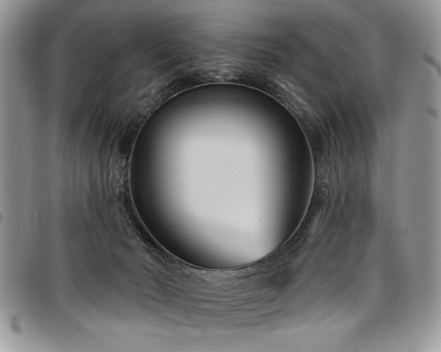 X0000098030030200803281419