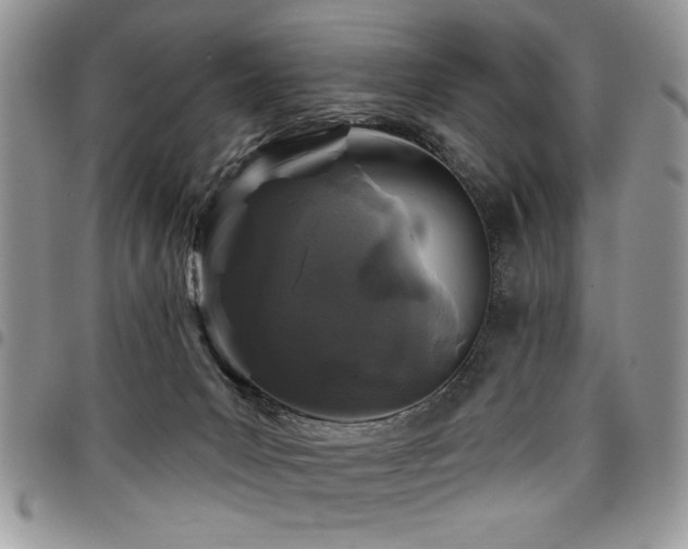 X0000098030031200803281419