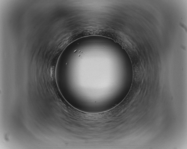 X0000098030034200803281419