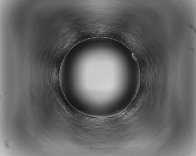 X0000098030040200803281419