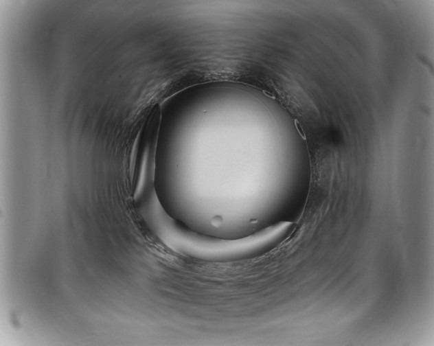 X0000098030041200803281419