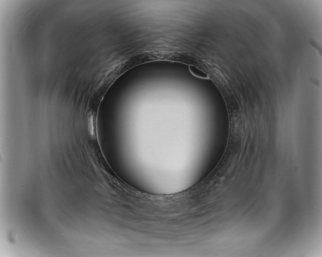 X0000098030042200803281419