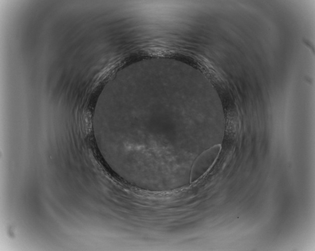 X0000098030043200803281419