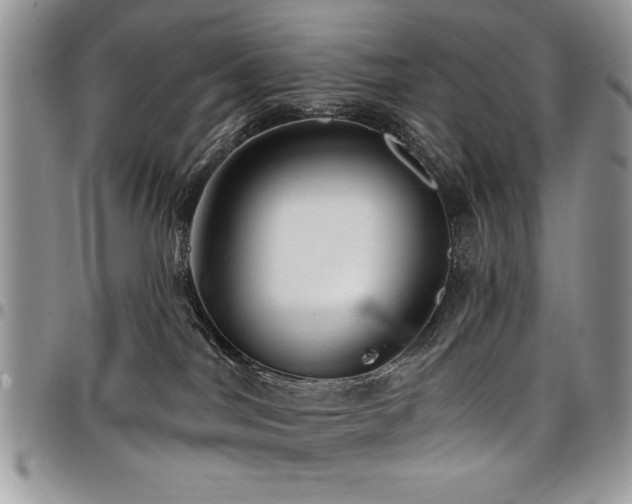 X0000098030044200803281419