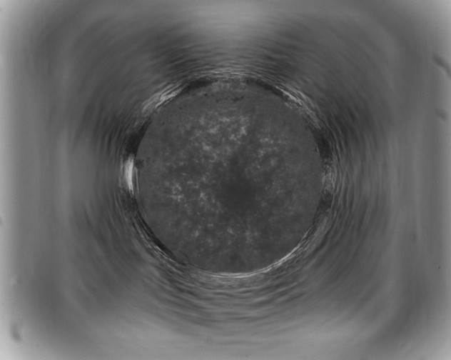 X0000098030047200803281419