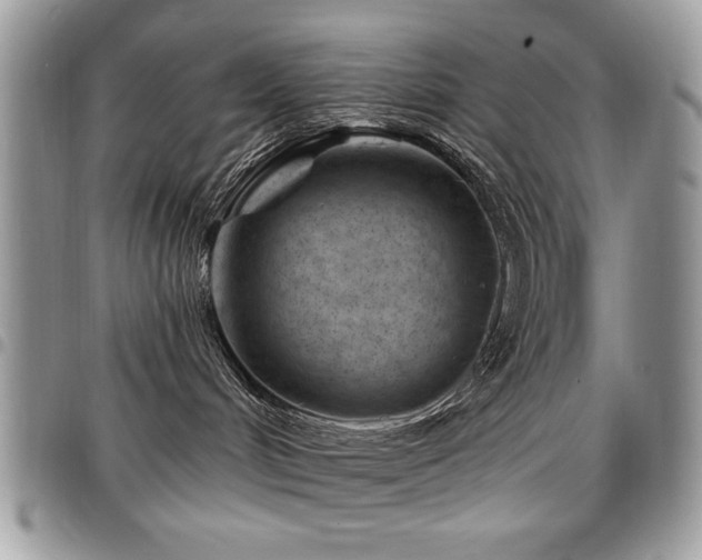 X0000098030048200803281419