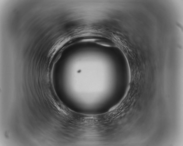 X0000098030050200803281418