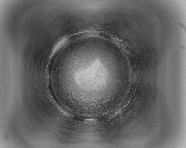 X0000098030053200803281418